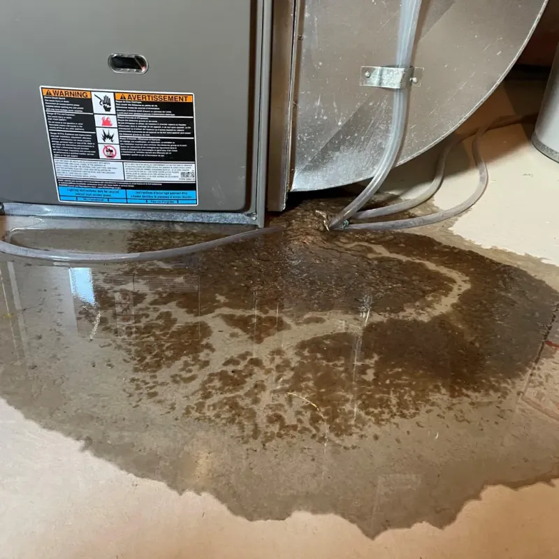 Appliance Leak Cleanup in Bay Minette, AL